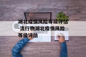 湖北疫情风险等级评估-流行物湖北疫情风险等级评估