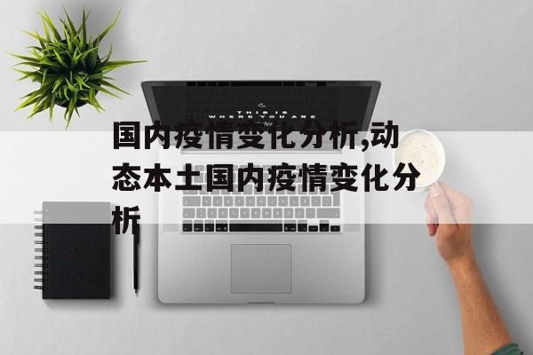 国内疫情变化分析,动态本土国内疫情变化分析